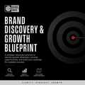 Brand Discovery & Growth Blueprint